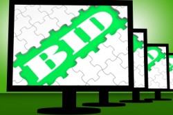 Bidding Strategies